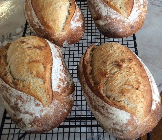 Italy Artisan Bread School