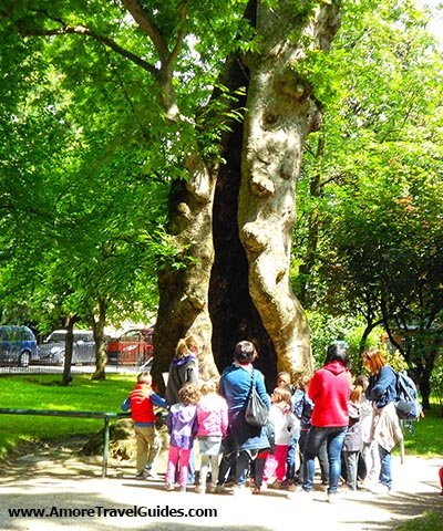 Padua Botanical Garden